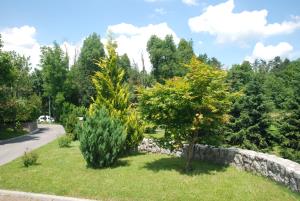 Rakitnik 20 C (3)
